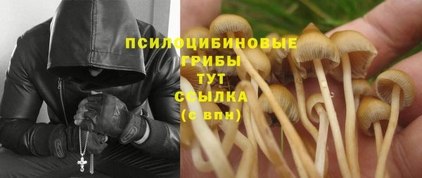 мдпв Арсеньев