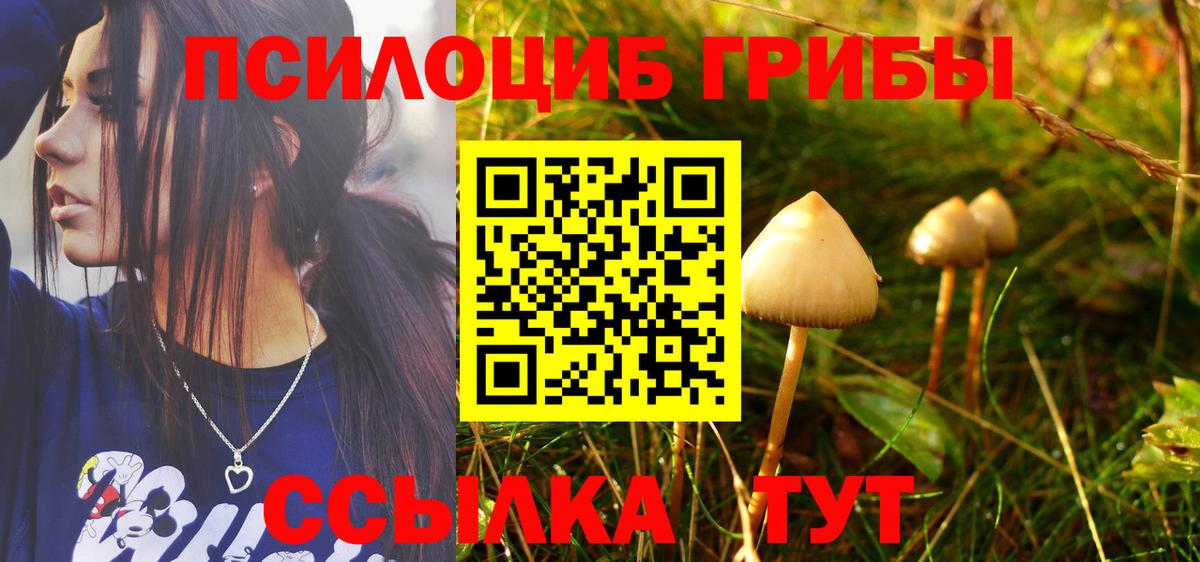 Псилоцибиновые грибы ЛСД Можга