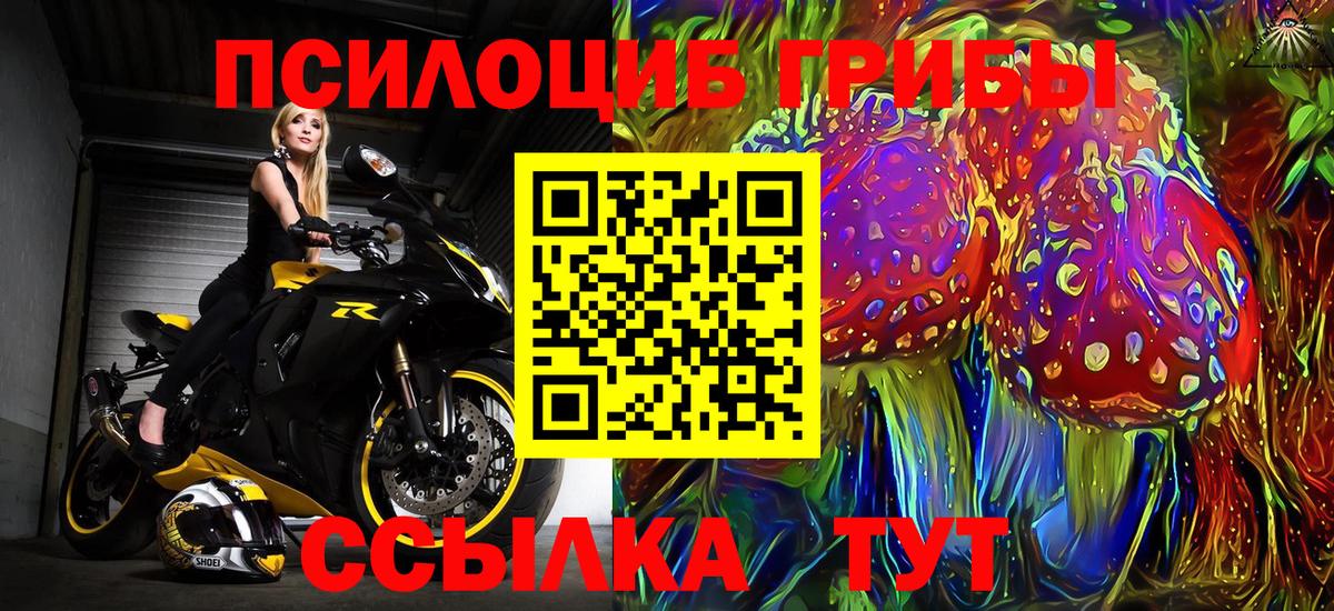Галлюциногенные грибы прущие грибы  Вход с VPN  закладки  Можга 