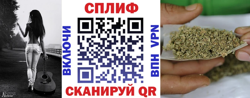 Марихуана сатива Можга